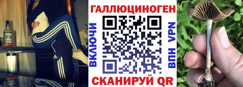 Псилоцибиновые грибы GOLDEN TEACHER  Удачный 